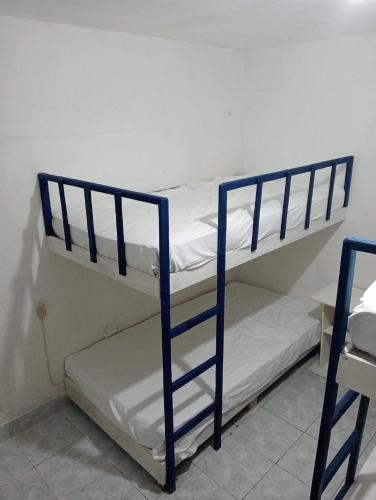 Colonos Cuzamil Apartment | Rhinos House