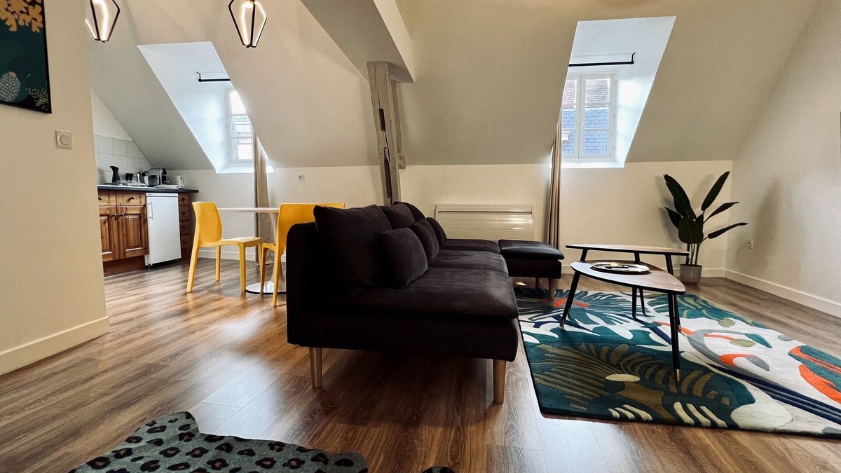 Auxerre Apartment | RhizHome - City center, spacious apartment
