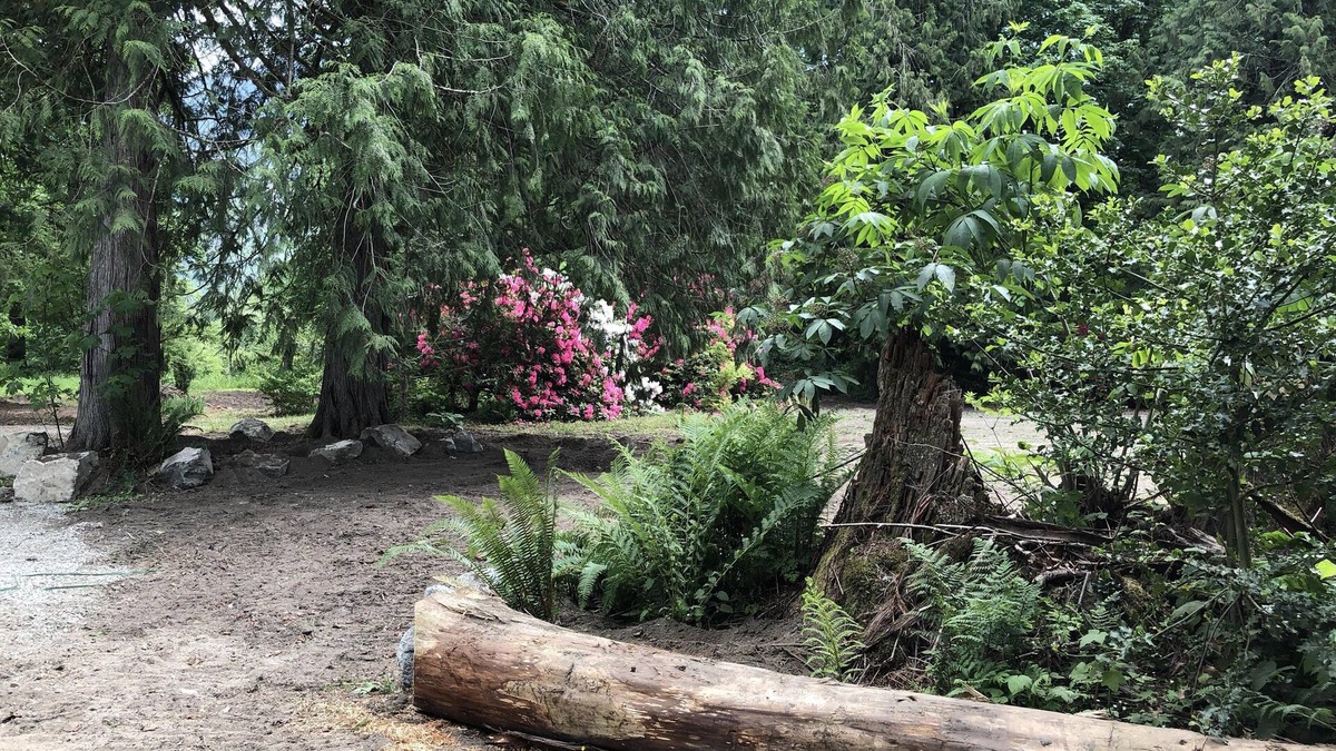 Marblemount House | Rhody House: North Cascades Comfort in the Woods