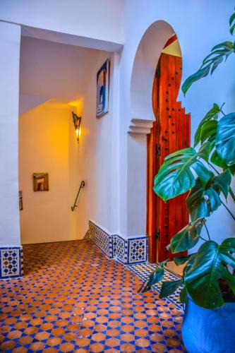 Mellah House | Riad Dari