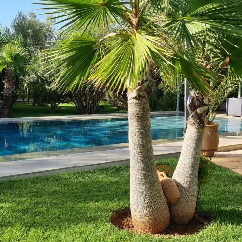 El Aggada House | Riad les deux citronniers