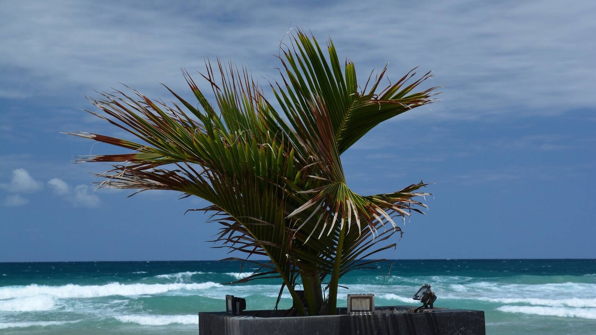 Nosy Boraha Hotel | Riake Resort & Villa