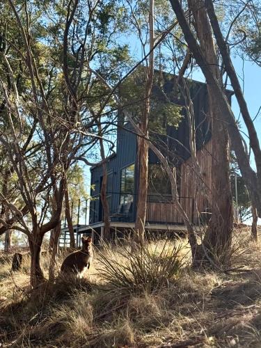 Richmond Villa | Richmond Wildlife Haven