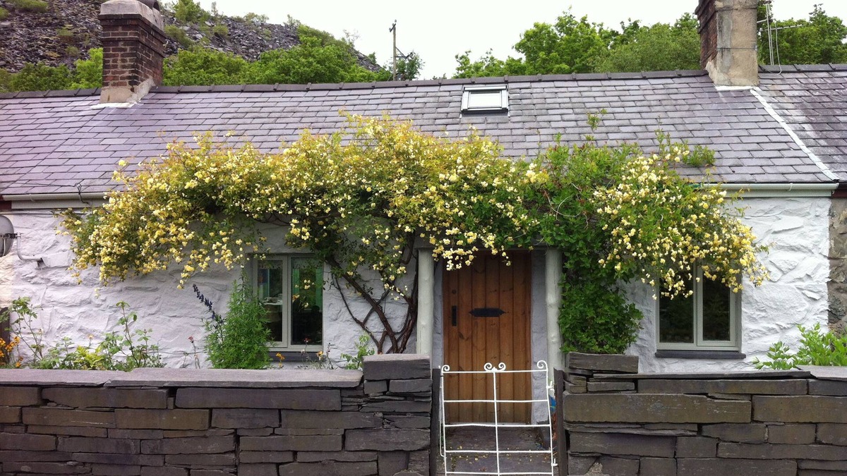 Bethesda Cottage | Ride the Zipwire