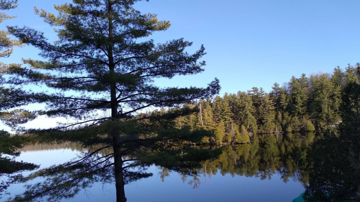 Rideau Lakes Cottage | Rideau Lakes, Scott Island