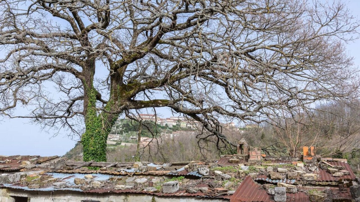Magliano Vetere House | Rifugio dell'Amore e Pace