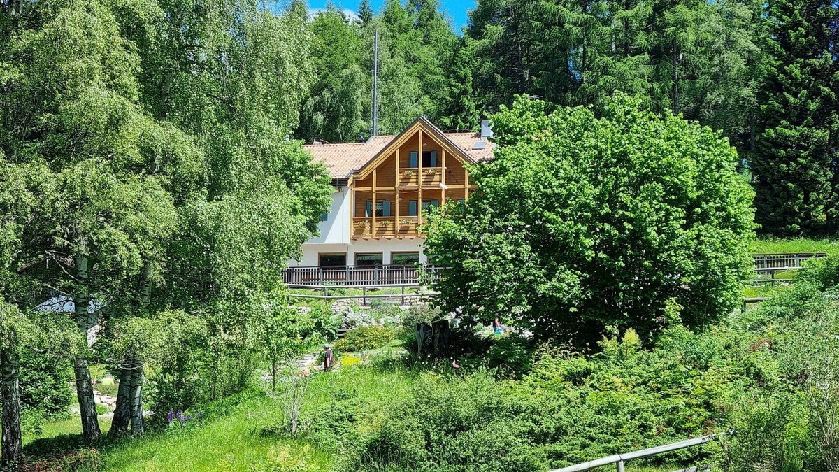 Ravina Bed & Breakfast | Rifugio Viote