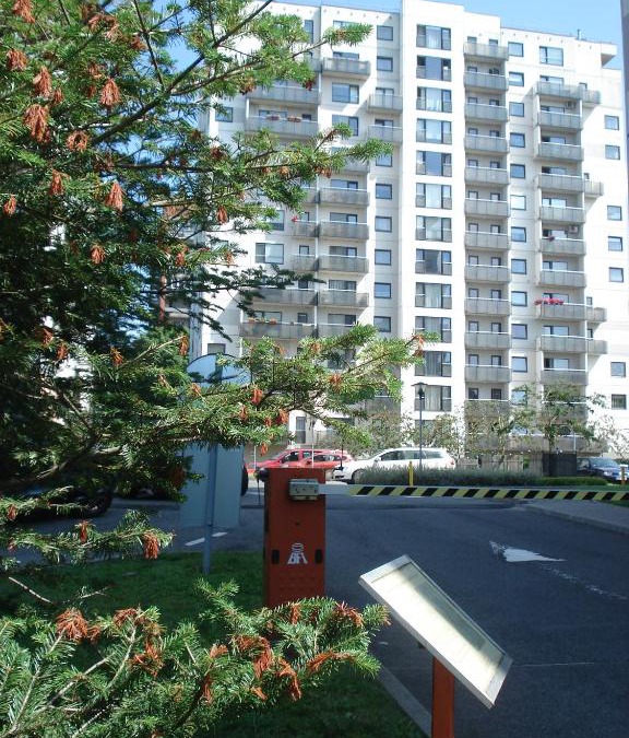 Jugla Apartment | Riga Apartment Brivibas with Private Parking