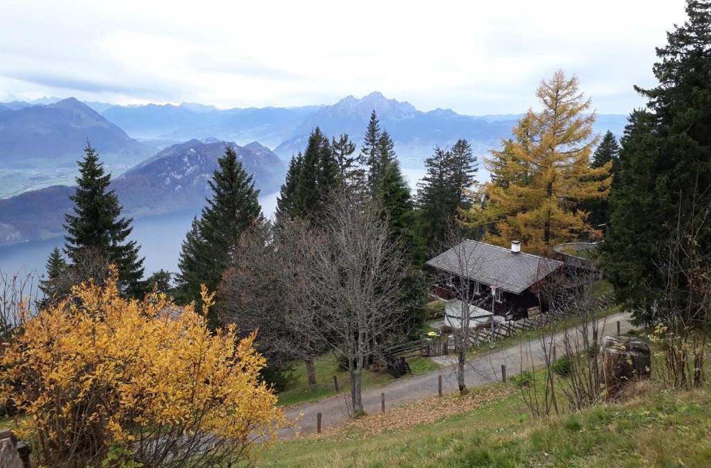 Vitznau Apartment | Rigirolle