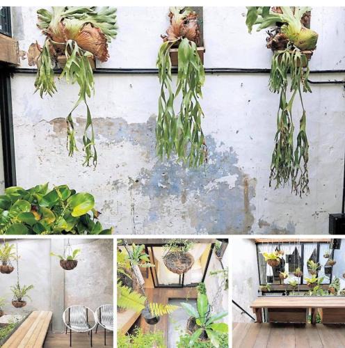 Jonker Walk Villa | Rimba Jonker With Private Pool -10 Pax 2B/R
