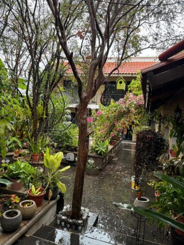 Jalpan de Serra Hotel | Rincón de la Sierra