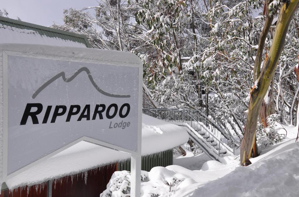 Falls Creek Cabin | Ripparoo Lodge