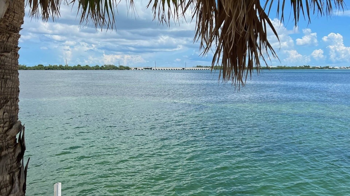 Cudjoe Key House | Rise & Shine with spectacular sunrise views!