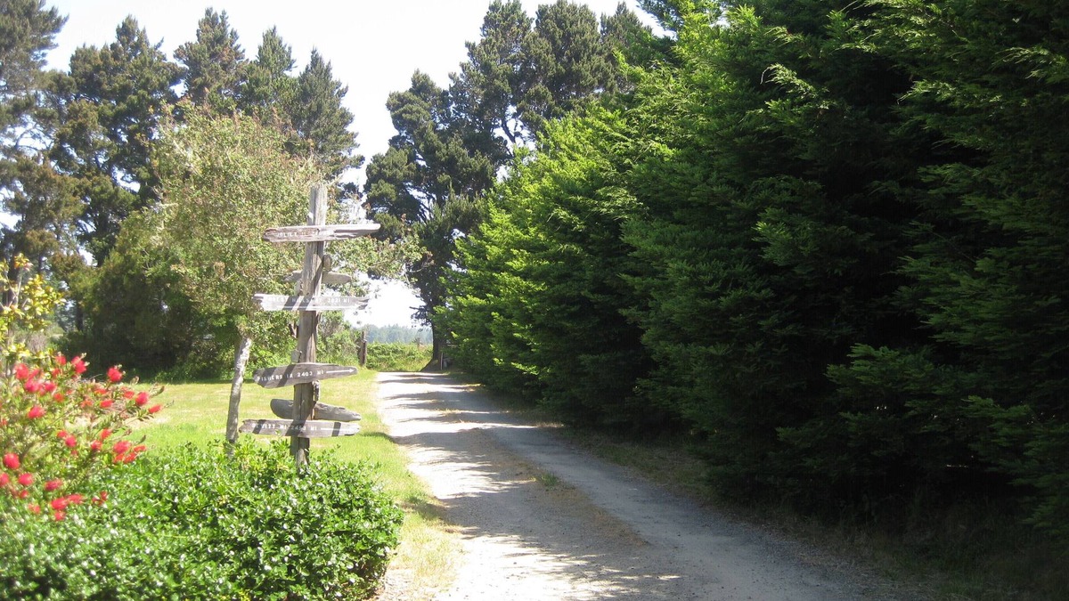 Albion House | Riventides: North Coast Delight