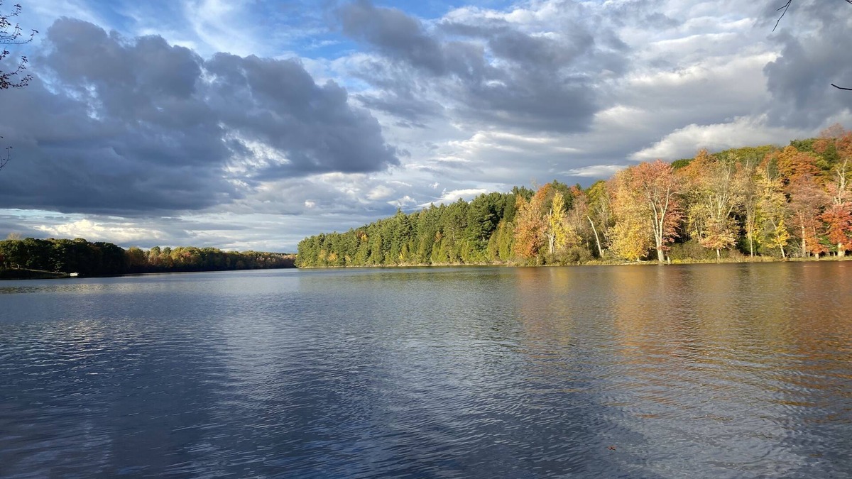 Rooseveltown Cabin | River Bank Camping, Cedar Grove Cabin