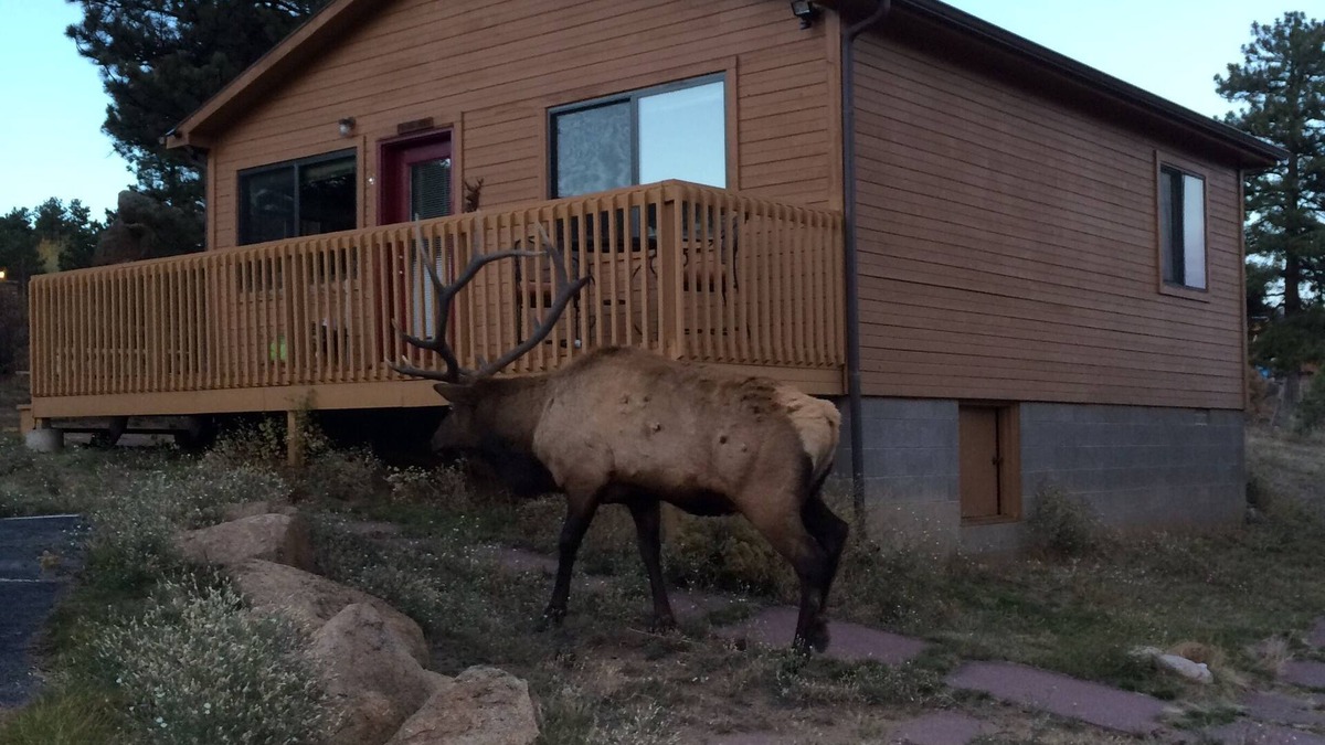 Estes Park Cabin | River Cabin - Close to Downtown, YMCA, and R.M.N.P.