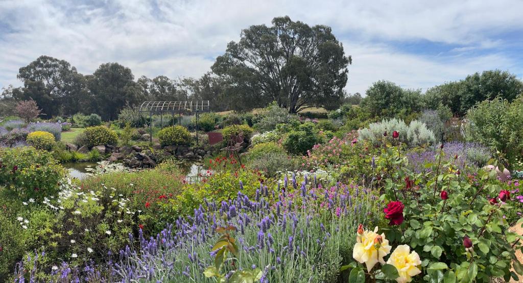 Axedale Bed & Breakfast | River Gardens Axedale Pet Friendly Farmstay B&B