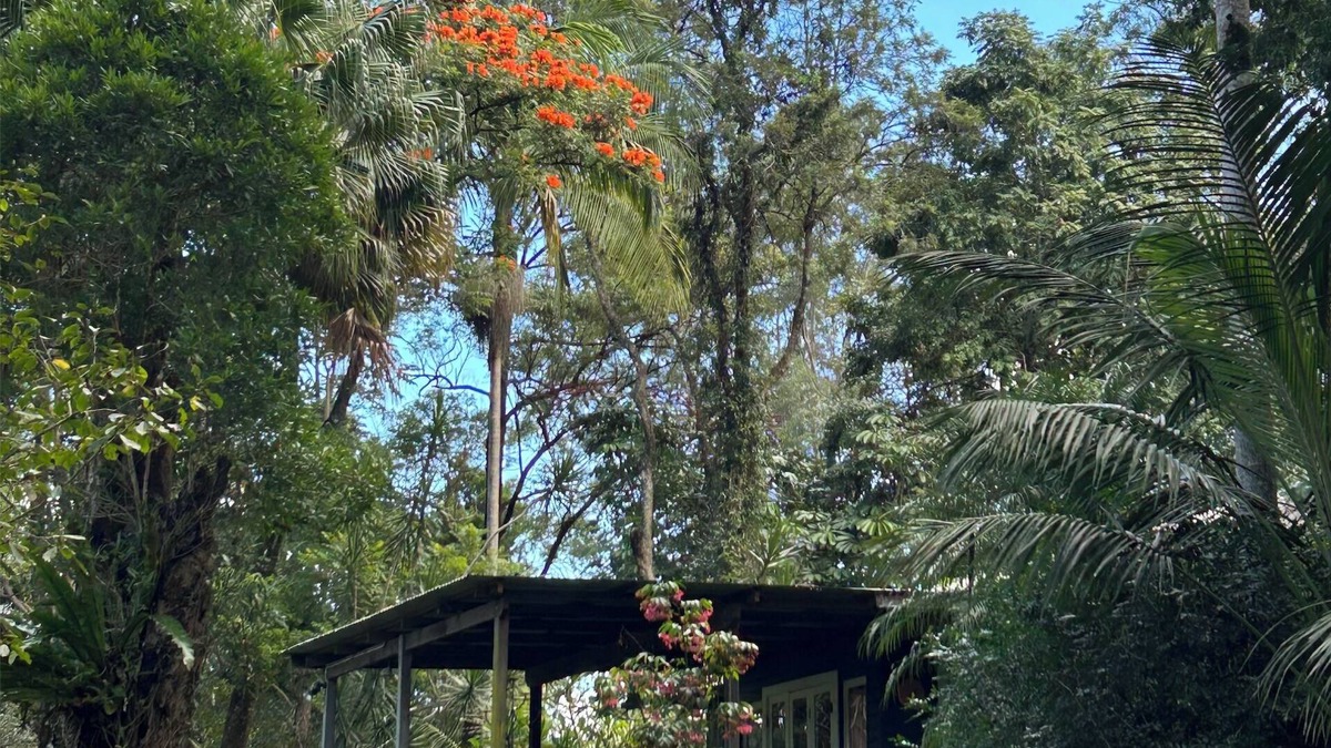 Federal Cottage | River House (aka Federal Hilton) - Byron Bay Hinterland holiday cottage