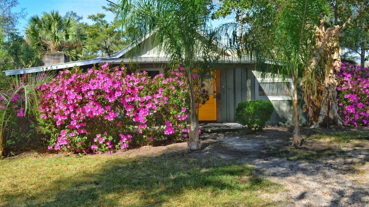 Telogia Cabin | River House! Easy Living on Easy Street