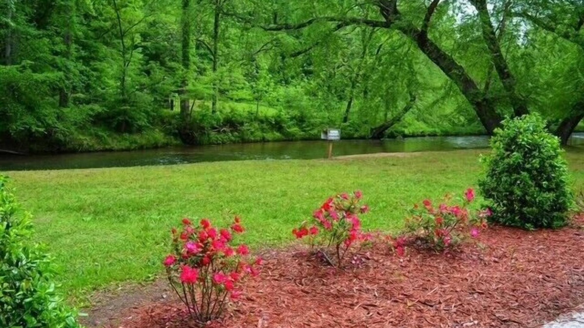 Helen Condo | River life on the Chattahoochee in Helen Ga., River life