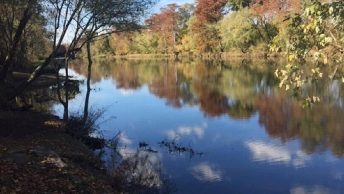 Broken Bow Cabin | River Otter Grande on the Lower Mountain Fork River ~ Includes Kayaks!