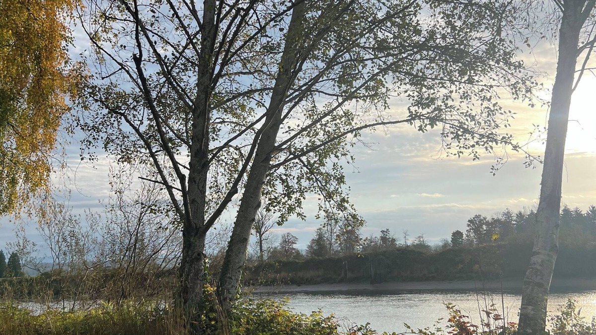 Everett House | River Retreat close to Boeing, I-5 and downtown Everett!