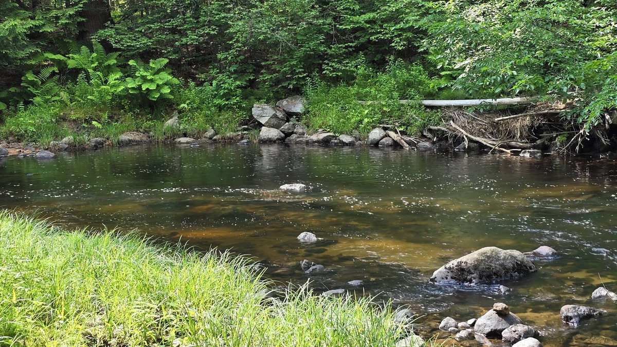 Canaan House | River Retreat –Tranquil Getaway, Fish, Hike & Explore from Your Back Door