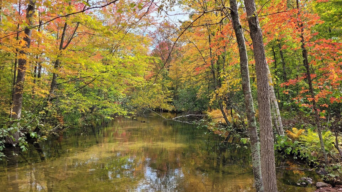 Spooner House | River Ridge Cottage