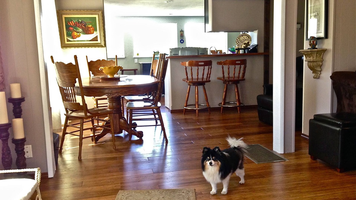 Lyle House | River views! Sleeps 6, walk to Wine, Hiking and Sandbar - Dogs Welcome!