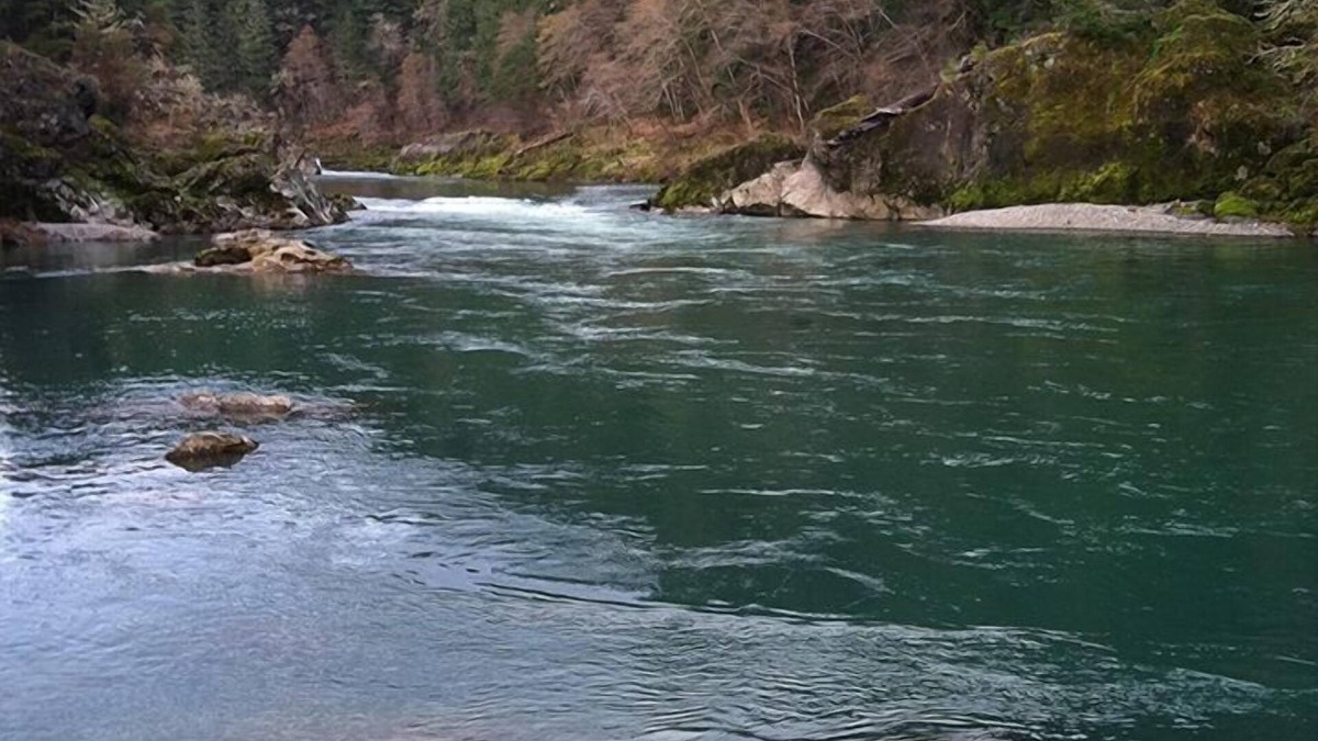 Roseburg House | River Vista Homes: Perfect for Fishing, Swimming, and Relaxing by the Water