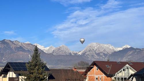 Domzale Apartment | Riverbank - Mountain view