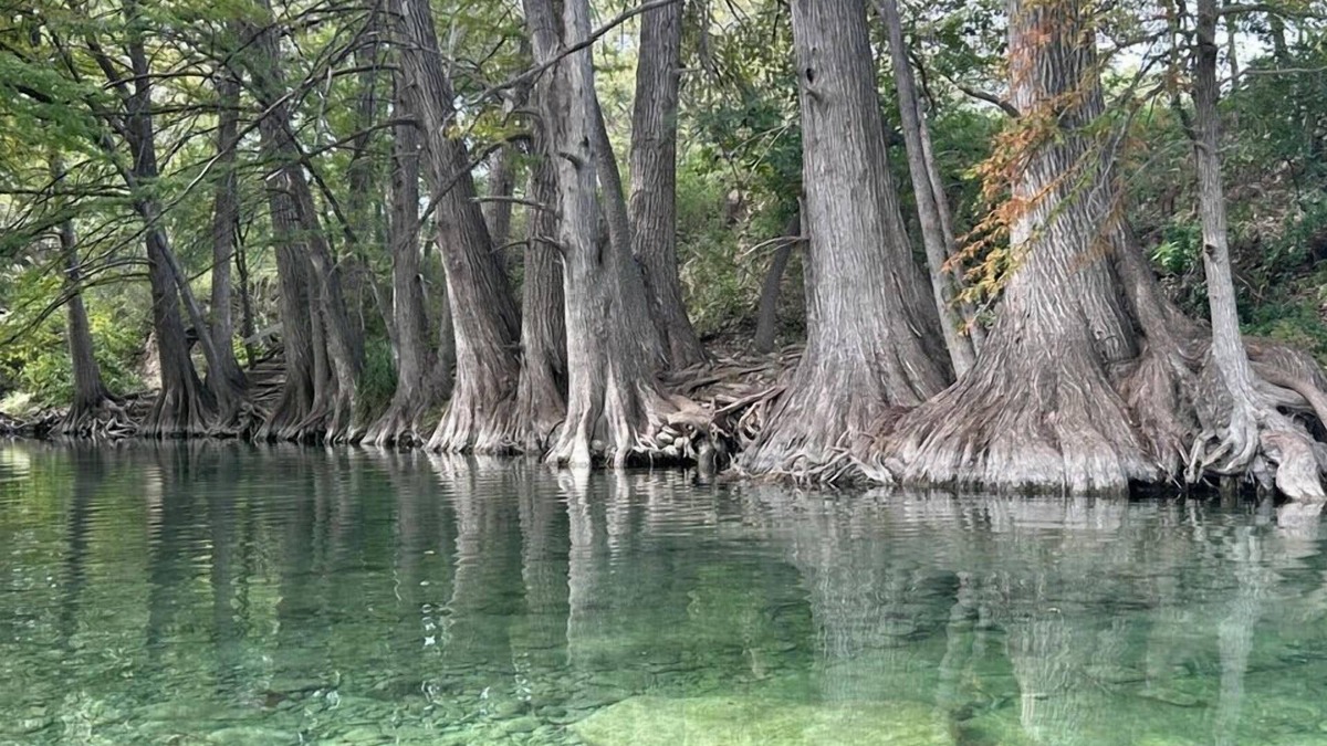 Uvalde County Cabin | Riverbend on the Frio Cabin 2
