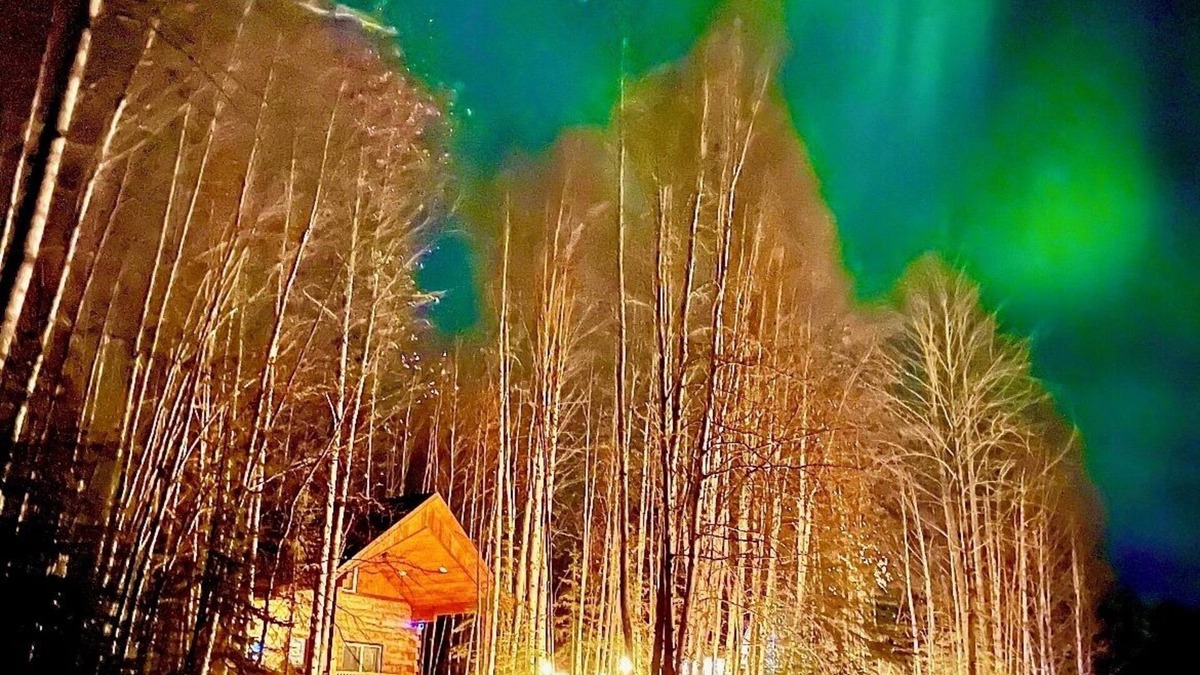 Houston Cabin | Riverfront, Authentic, Luxury Log Cabin-Black Bear