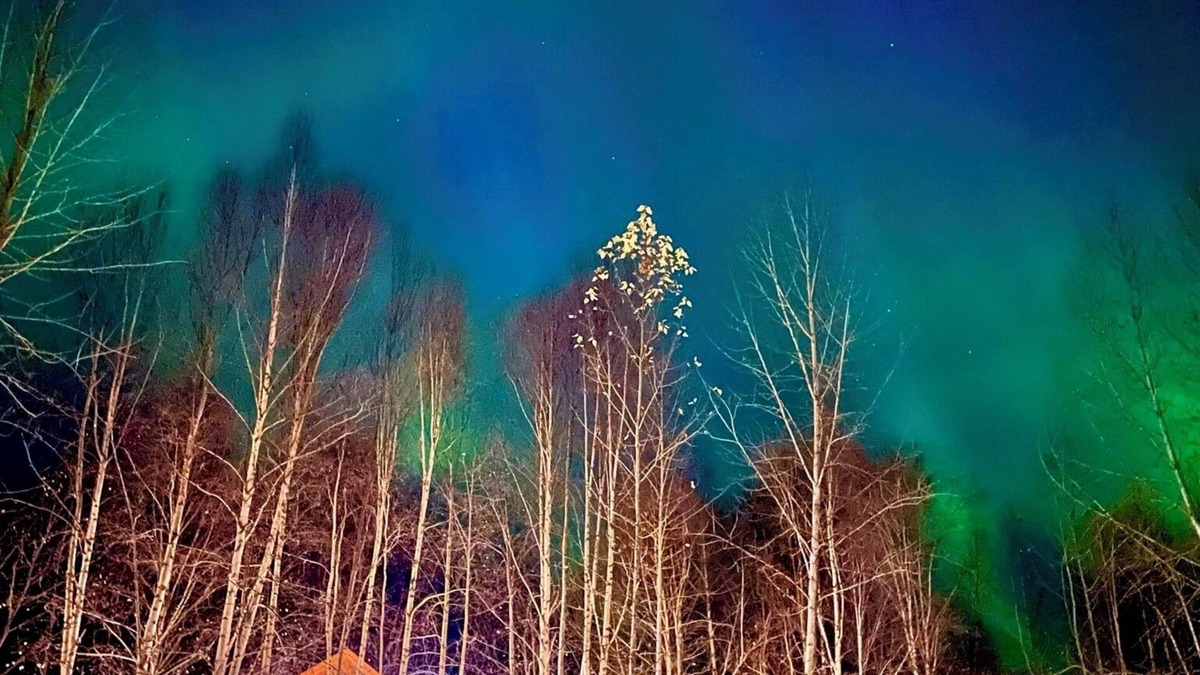 Houston Cabin | Riverfront, Authentic, Luxury Log Cabin-Bull Moose