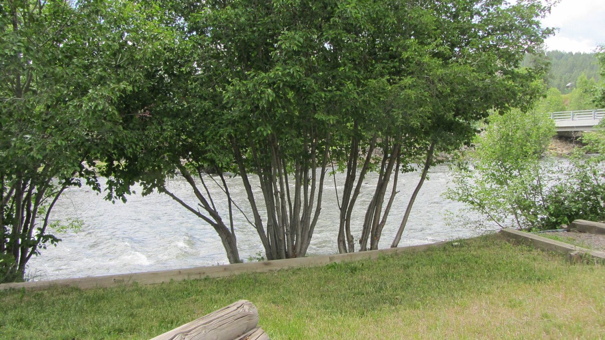 San Juan River Village House | Riverfront Home With Hot Tub - Vacation On The San Juan. Near Wolf Creek!