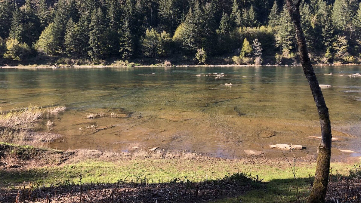 Umpqua House | RiverFront Property in the Heart of Umpqua Wine Tour Country