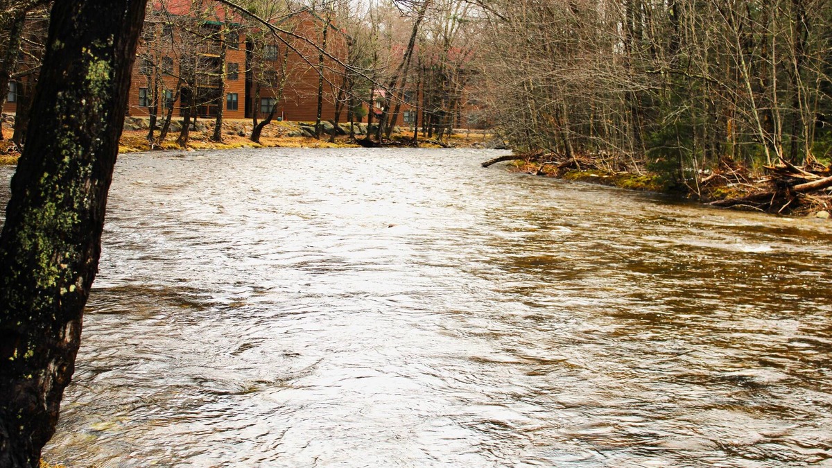North Woodstock Condo | Riverfront Retreat in Deer Park