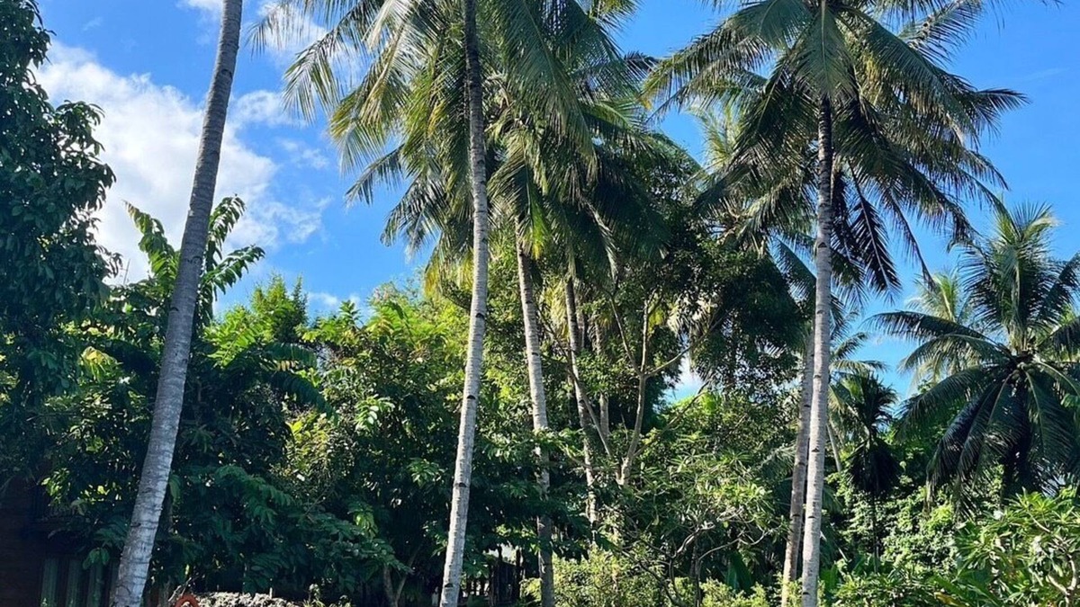 Mae Sariang Hotel | Riverhouse Resort