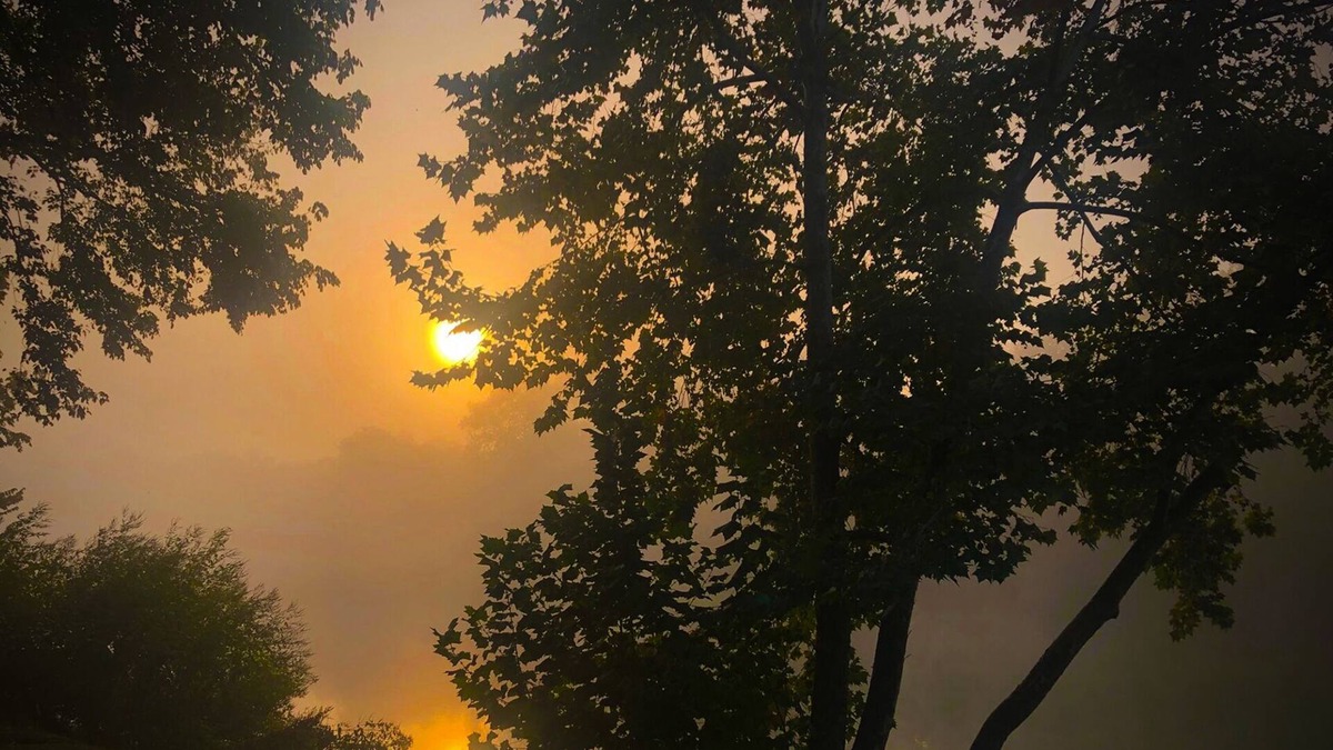 Bastrop House | RiversEdge Pet Friendly Zen River Retreat.