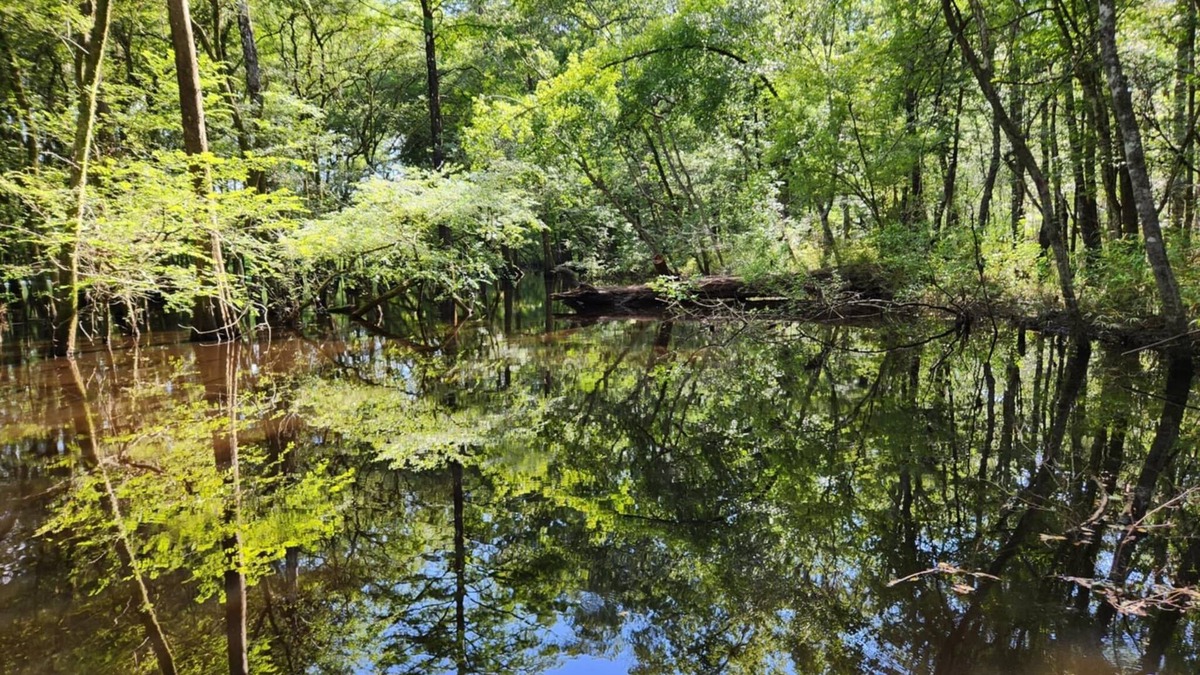 Colleton County House | Riverside 2-bedroom Camper with AC and WiFi. Boat ramp available.