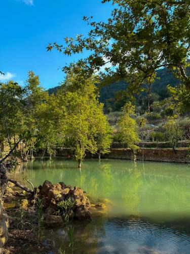 Beiteddine Ski Chalet | Riverside Jahliye, Chouf