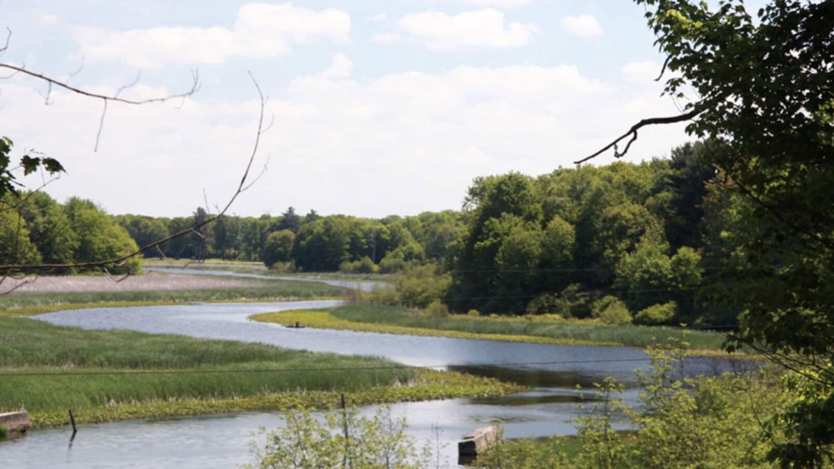 Port Sheldon House | Riverside Retreat on 30 Wooded Acres-Perfect for Families, Teams, and Gatherings