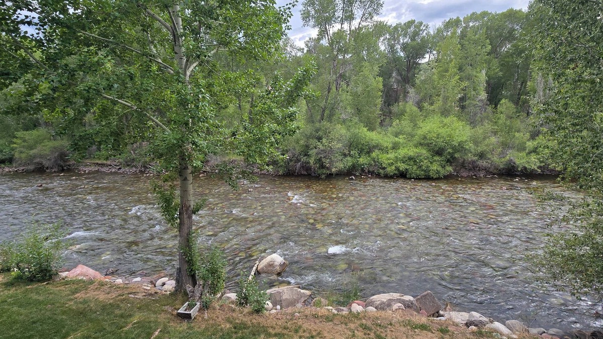 Basalt Condo | Riverview Retreat: Modern Condo overlooking the Roaring Fork
