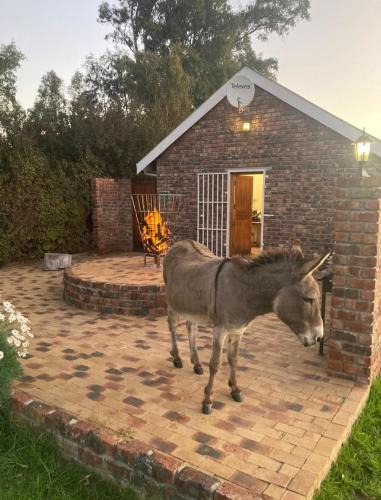 Bonnievale Apartment | Rivier-Plesier Cottage at Riggton River Farm