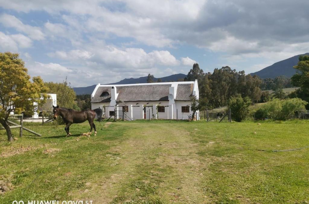 Tulbagh House | Riviera Cottage