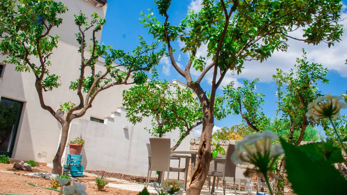 Montesano Salentino Bed & Breakfast | Riz Salento Guest House