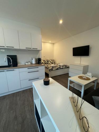 Brno-Lisen Apartment | RK Apartment Brno