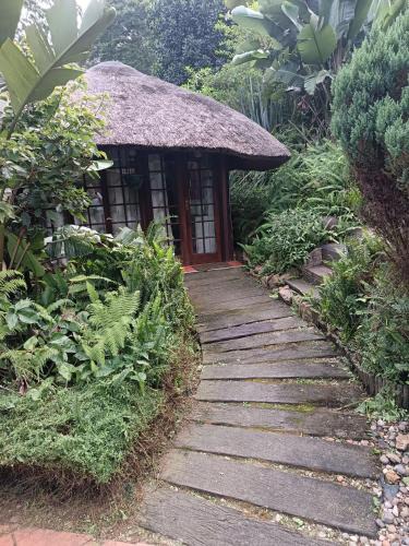 Ethekwini Apartment | Robin's Thatch Studio- bush camp in the suburbs-sleeps 2