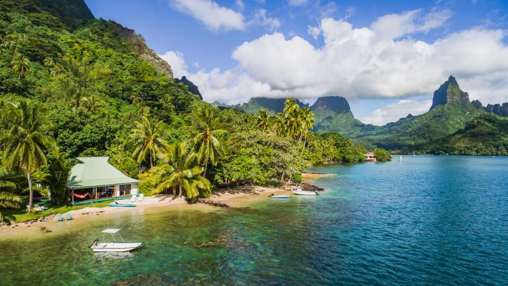 Pihaena Villa | Robinson's Cove Villas - Deluxe Cook Villa