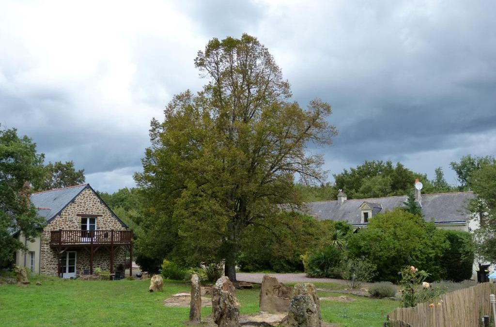 Gennes-Val-de-Loire House | ROCHE-LOIRE